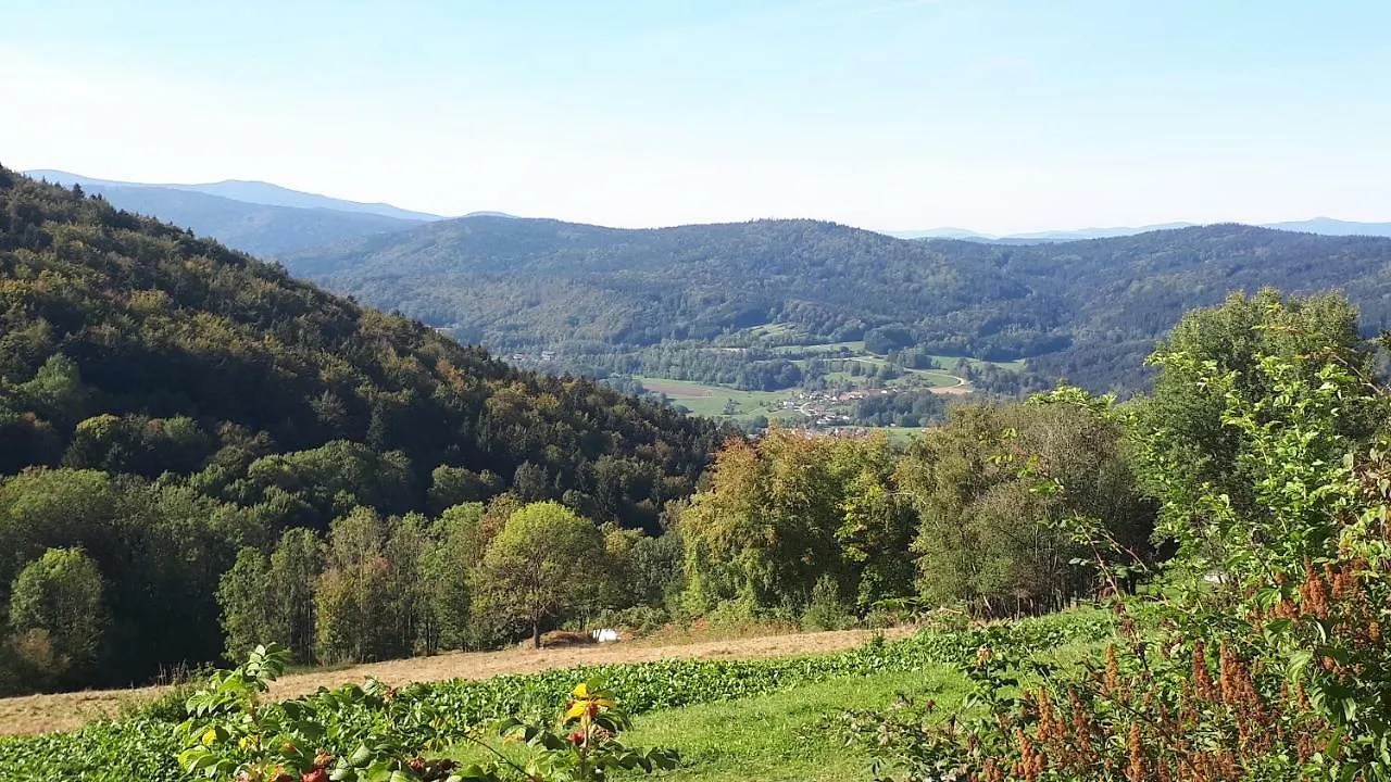 Ferienapartment 38 Sonnenwald Langfurth  Langfurth (Freyung-Grafenau)